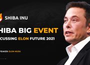 Elon Musk:You will become Shiba Millionaires. Shiba Inu Future Price $0.1. SHIBA BIGGEST NEWS LIVE!