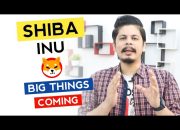 Shiba Inu Big Things Coming