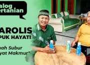 Marolis itu Pupuk Hayati?