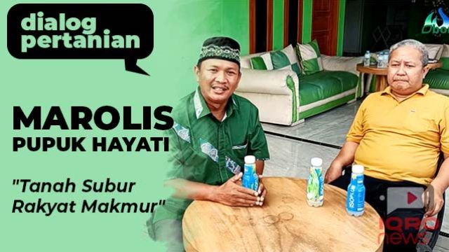 Marolis itu Pupuk Hayati?