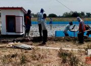 Dinas Ketahanan Pangan dan Pertanian Indramayu Hadirkan Solusi Mengatasi Kekeringan Persawahan dengan Sumur Bor, Irpom, dan Pompanisasi