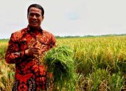 Transformasi Pertanian NTT: Dari Kekurangan Jadi Tulang Punggung Ketahanan Pangan Nasional