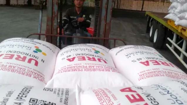 Petani Indramayu Sambut Gembira Turunnya Harga Pupuk Bersubsidi 20 Persen