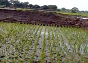 Menjawab Isu Galian Tanah, Forum Optimalisasi Lahan Dibentuk untuk Edukasi dan Regulasi yang Jelas