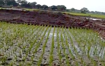 Menjawab Isu Galian Tanah, Forum Optimalisasi Lahan Dibentuk untuk Edukasi dan Regulasi yang Jelas