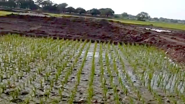 Menjawab Isu Galian Tanah, Forum Optimalisasi Lahan Dibentuk untuk Edukasi dan Regulasi yang Jelas