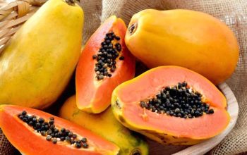 Rahasia di Balik Buah Pepaya: Si Manis yang Bisa Menyehatkan dari Dalam