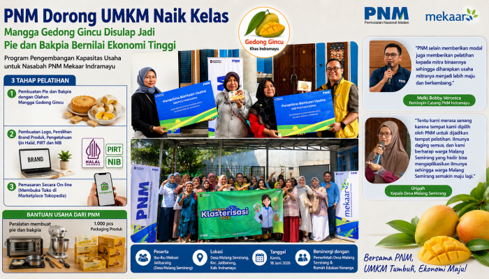 Tak Hanya Beri Modal, PNM Latih Emak-emak Indramayu, Mangga Gedong Gincu Kini Jadi Pie dan Bakpia Bernilai Tinggi