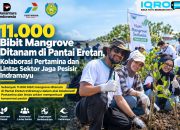 11.000 Bibit Mangrove Ditanam di Pantai Eretan, Kolaborasi Pertamina dan Lintas Sektor Jaga Pesisir Indramayu